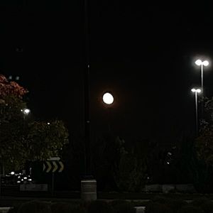 Meet your Posher, Romy